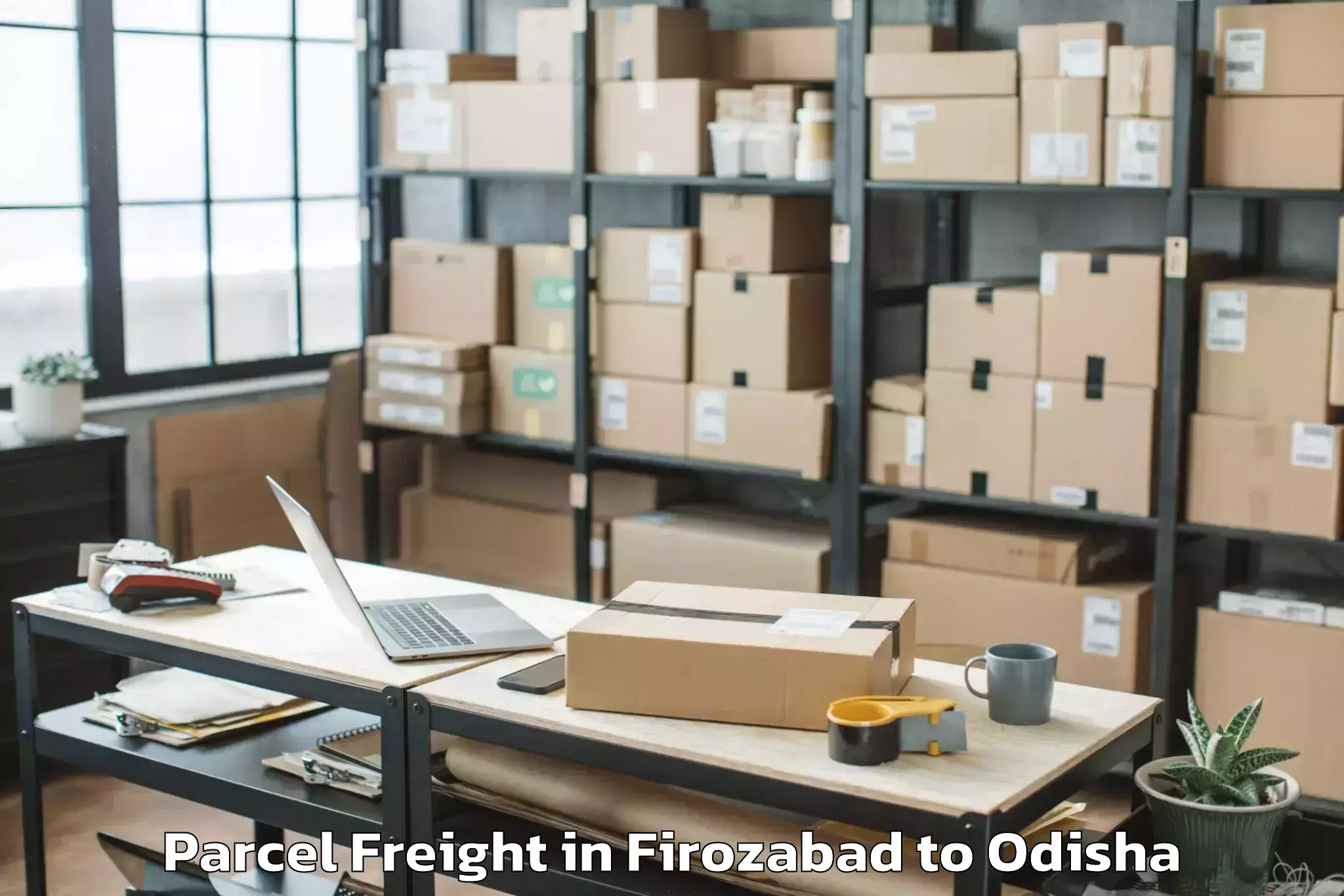 Leading Firozabad to Khandapada Parcel Freight Provider